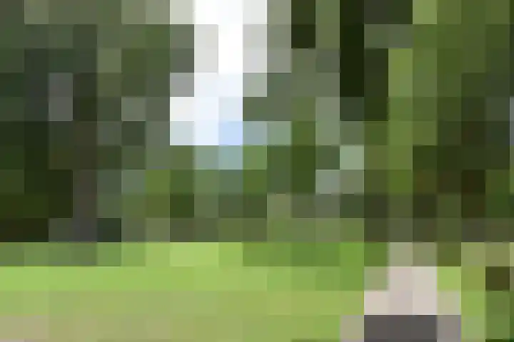 Prins Bernhardlaan 10 Voorschoten thumbnail 65