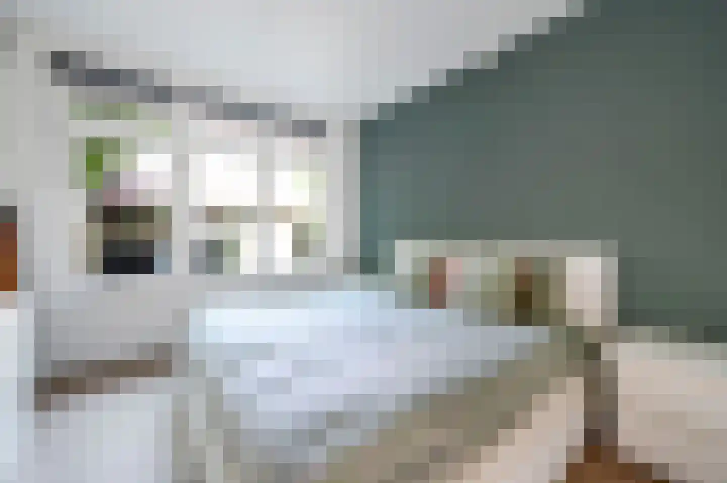 Prins Bernhardlaan 101 Voorburg thumbnail 13