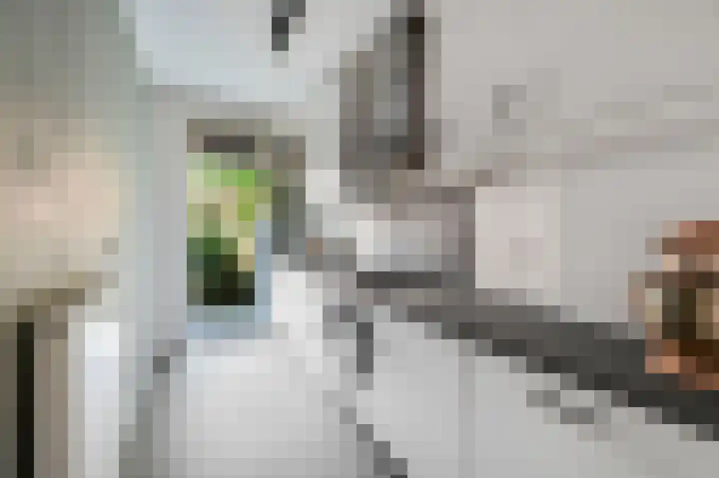 Prins Bernhardlaan 101 Voorburg thumbnail 16