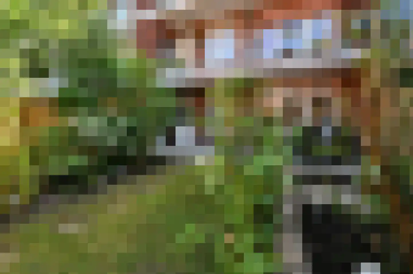 Prins Bernhardlaan 101 Voorburg thumbnail 22
