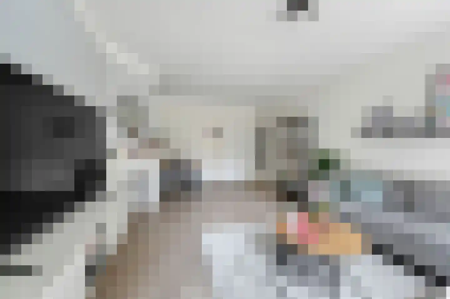Prins Bernhardlaan 101 Voorburg thumbnail 9