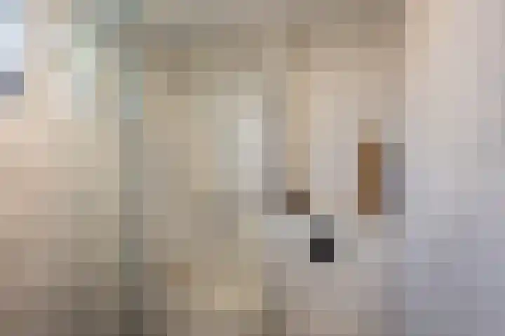 Prins Bernhardlaan 104 Middelharnis thumbnail 21