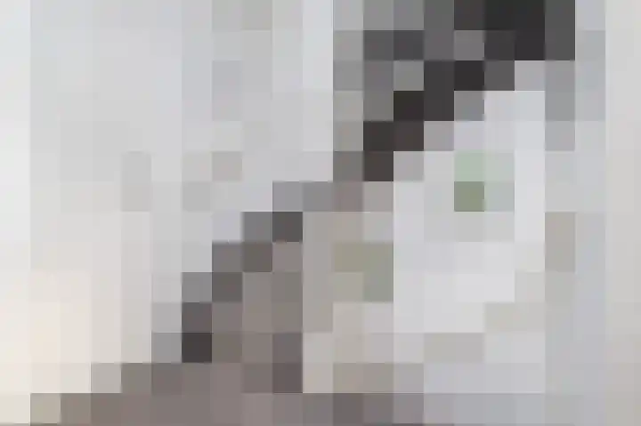 Prins Bernhardlaan 104 Middelharnis thumbnail 24
