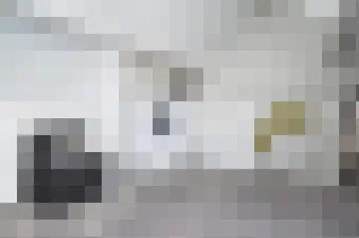 Prins Bernhardlaan 104 Middelharnis thumbnail 27