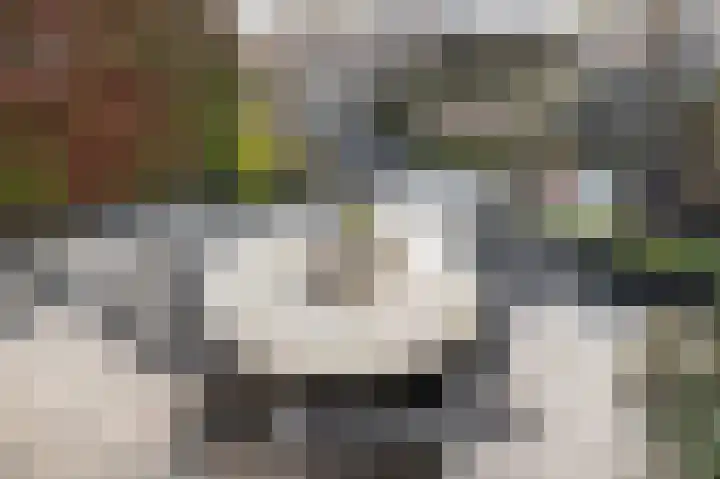 Prins Bernhardlaan 104 Middelharnis thumbnail 30