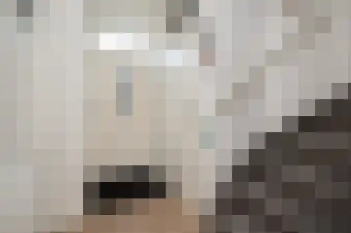 Prins Bernhardlaan 104 Middelharnis thumbnail 5