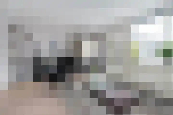 Prins Bernhardlaan 104 Middelharnis thumbnail 9