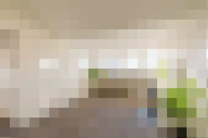 Prins Bernhardlaan 105 Diemen thumbnail 30