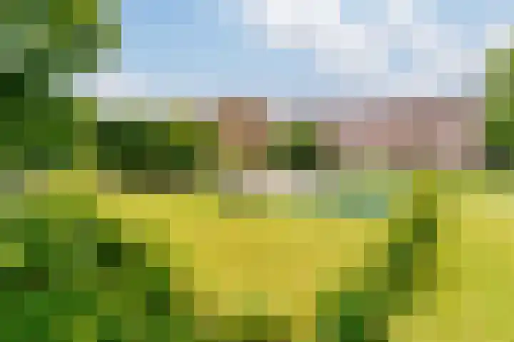 Prins Bernhardlaan 105 Diemen thumbnail 39
