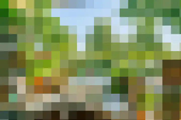 Prins Bernhardlaan 11 Diemen thumbnail 14