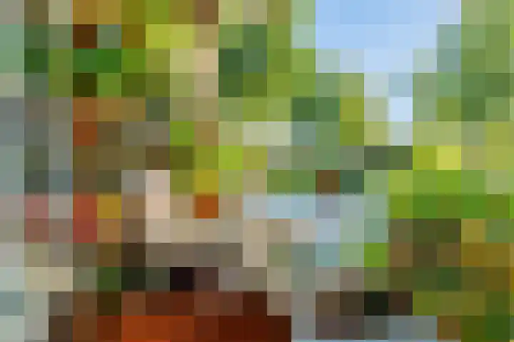 Prins Bernhardlaan 11 Diemen thumbnail 15