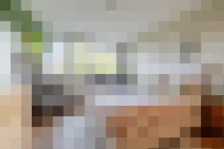 Prins Bernhardlaan 11 Diemen thumbnail 23