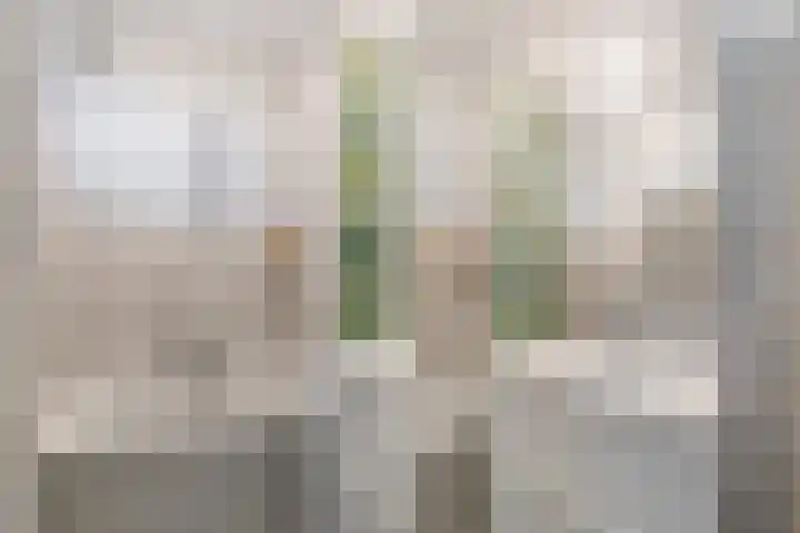 Prins Bernhardlaan 11 Diemen thumbnail 28