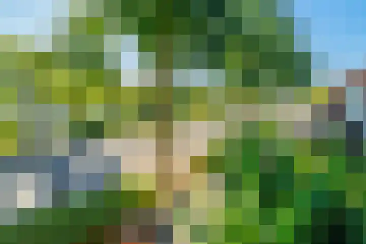 Prins Bernhardlaan 11 Diemen thumbnail 32
