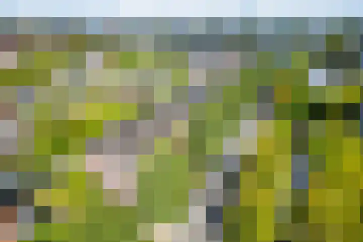 Prins Bernhardlaan 11 Diemen thumbnail 38