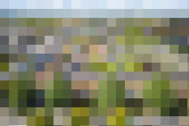 Prins Bernhardlaan 11 Diemen thumbnail 39