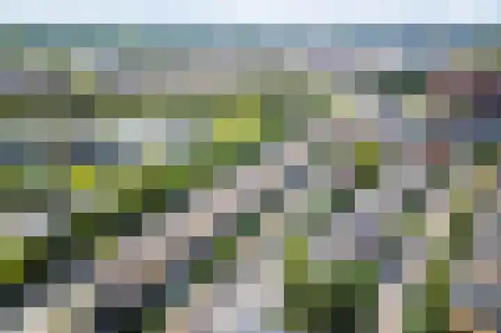 Prins Bernhardlaan 11 Diemen thumbnail 40