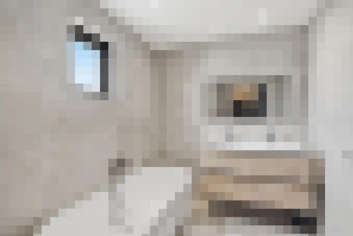 Prins Bernhardlaan 11 Franeker thumbnail 25