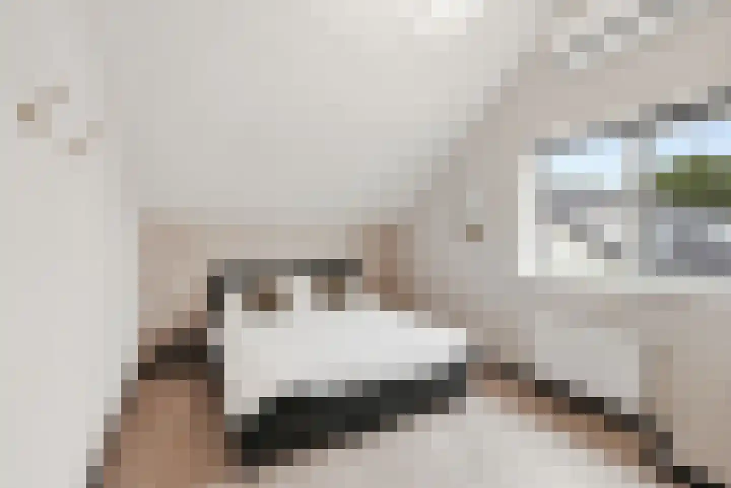 Prins Bernhardlaan 11 Franeker thumbnail 38
