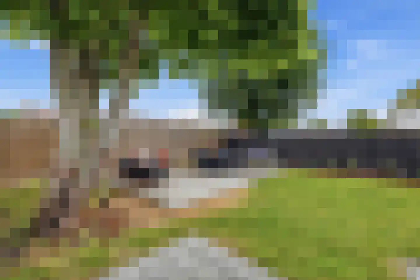 Prins Bernhardlaan 11 Franeker thumbnail 43