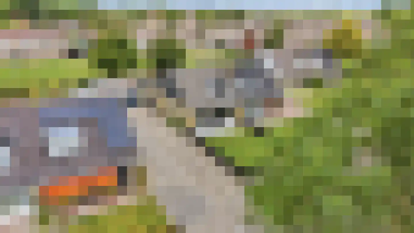 Prins Bernhardlaan 11 Franeker thumbnail 48
