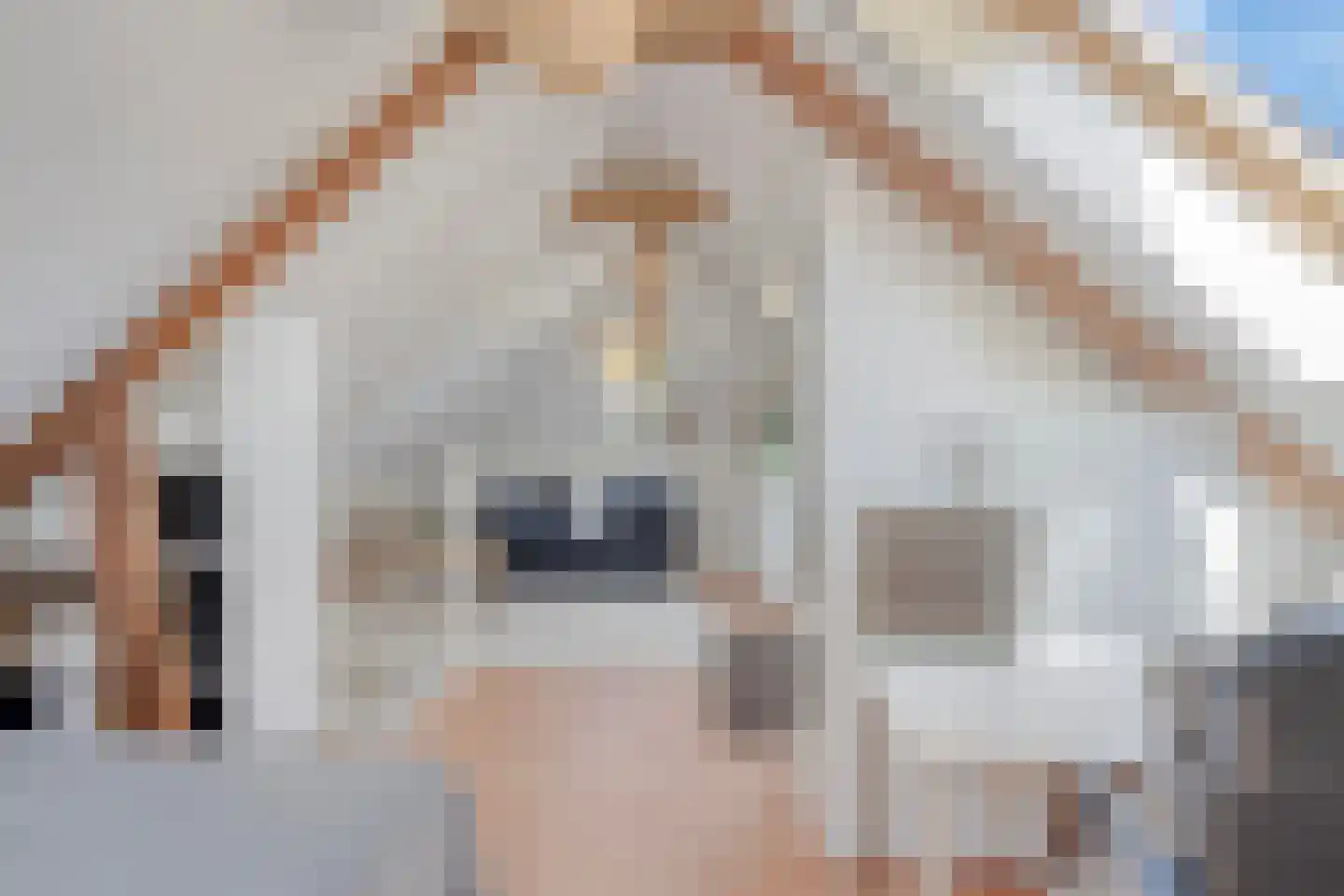 Prins Bernhardlaan 11 Heelsum thumbnail 38