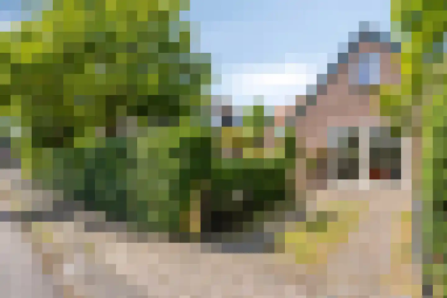 Prins Bernhardlaan 11 Heelsum thumbnail 39