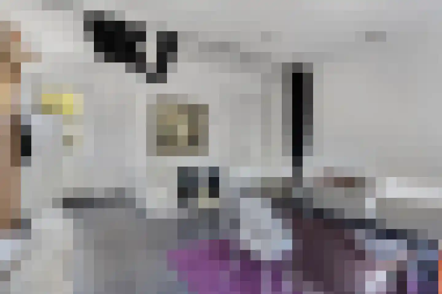 Prins Bernhardlaan 11 Heelsum thumbnail 45