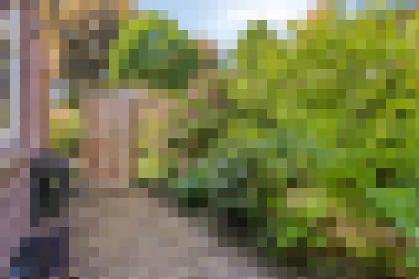 Prins Bernhardlaan 11 Heelsum thumbnail 51
