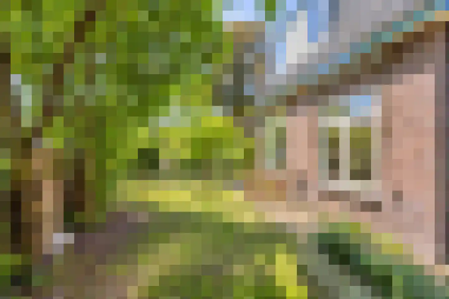 Prins Bernhardlaan 11 Heelsum thumbnail 54