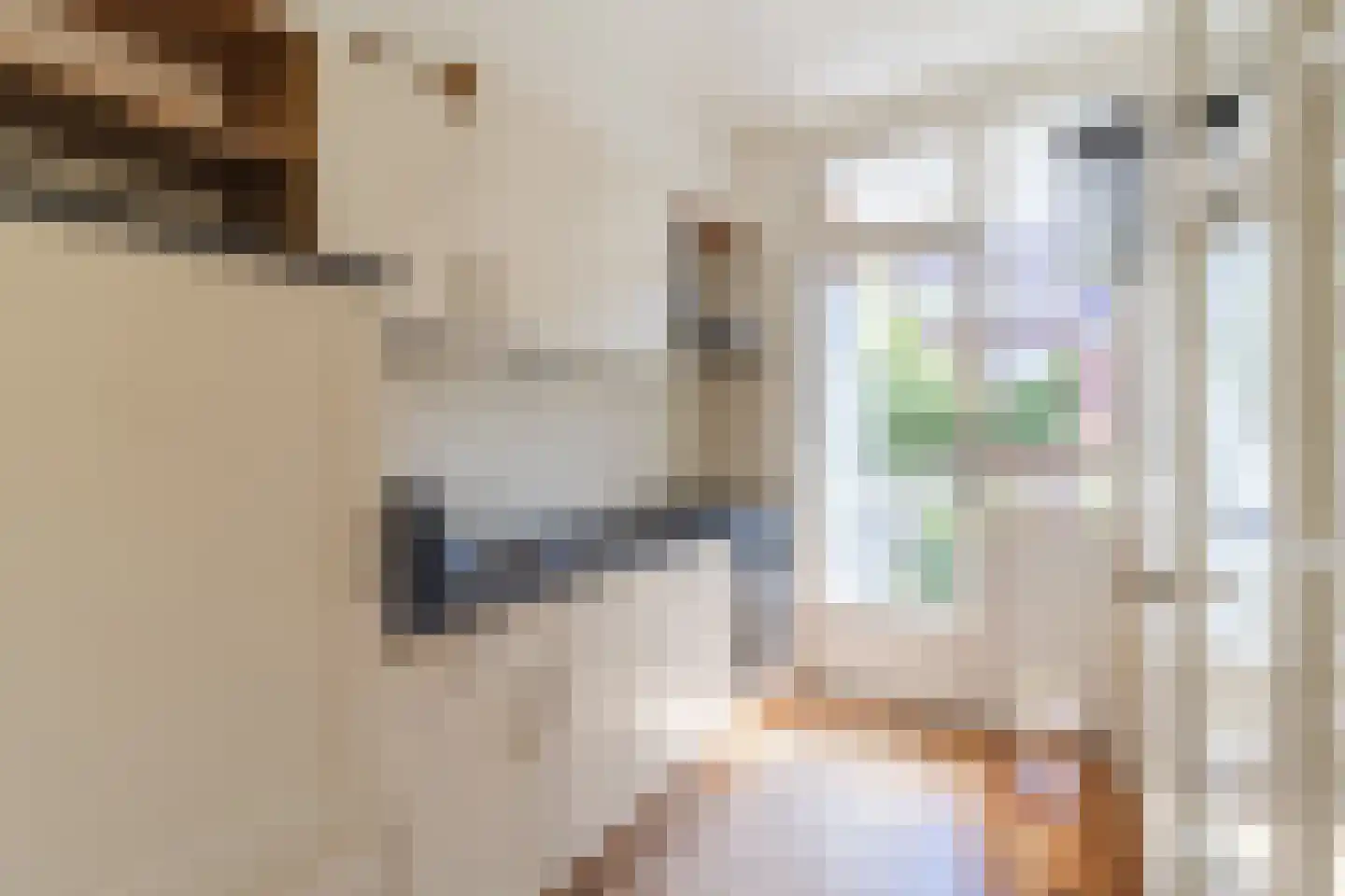 Prins Bernhardlaan 110 Voorburg thumbnail 11