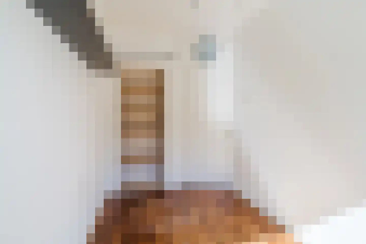 Prins Bernhardlaan 110 Voorburg thumbnail 17