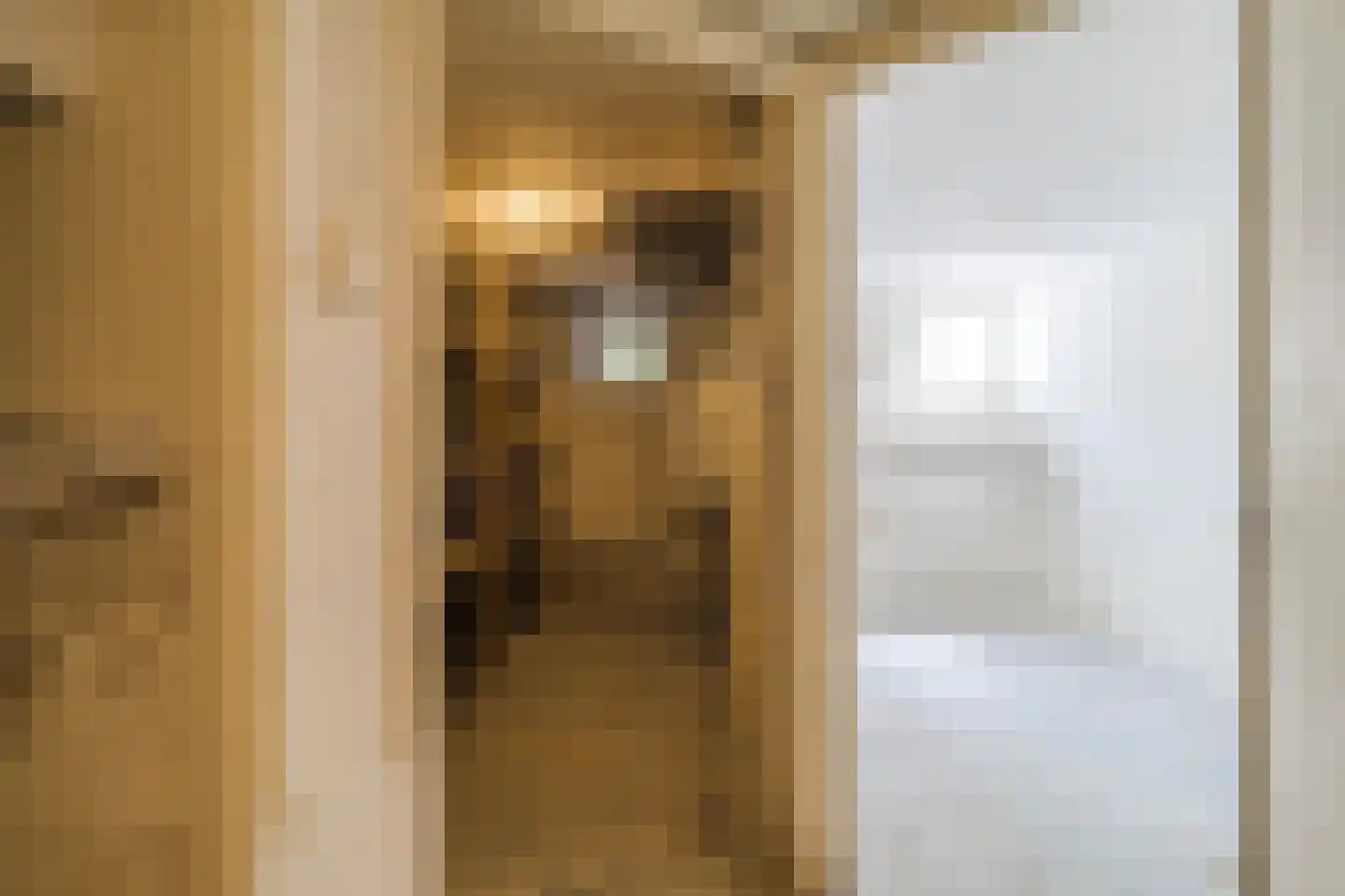 Prins Bernhardlaan 110 Voorburg thumbnail 27