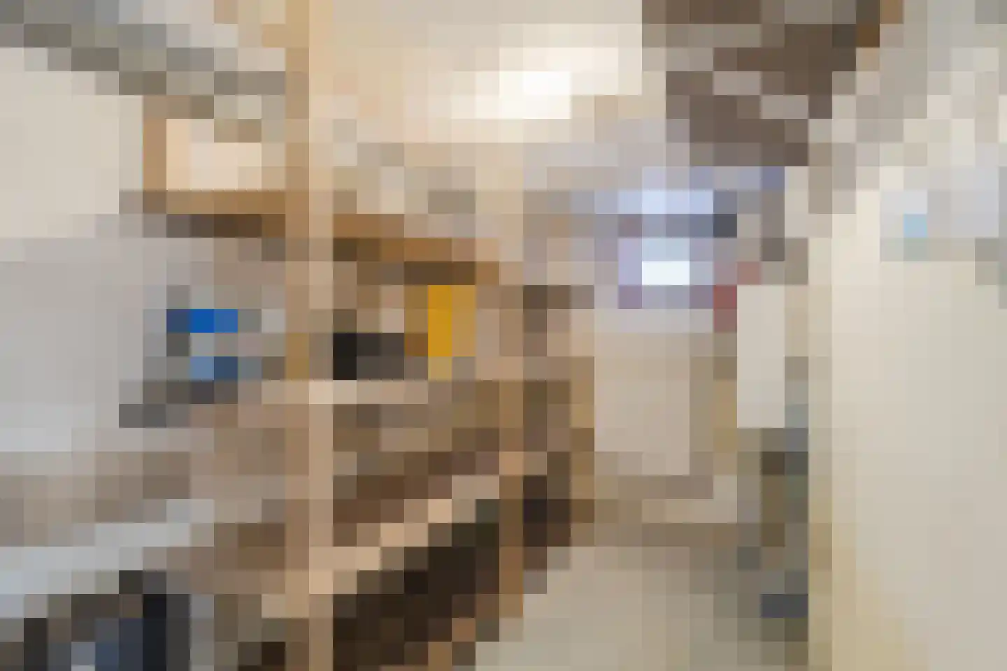 Prins Bernhardlaan 110 Voorburg thumbnail 29