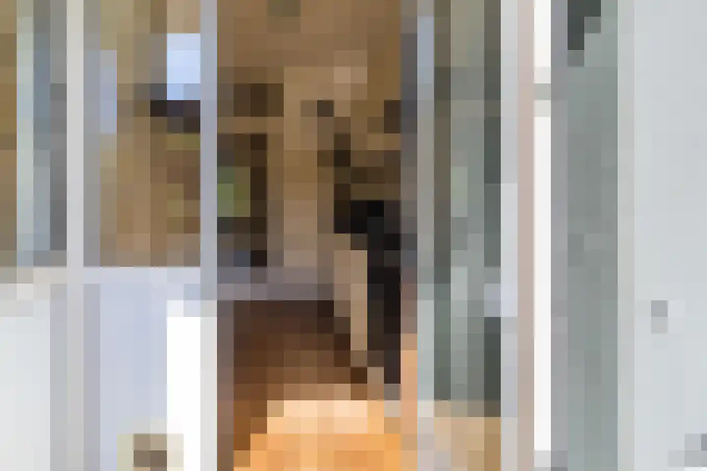 Prins Bernhardlaan 110 Voorburg thumbnail 32