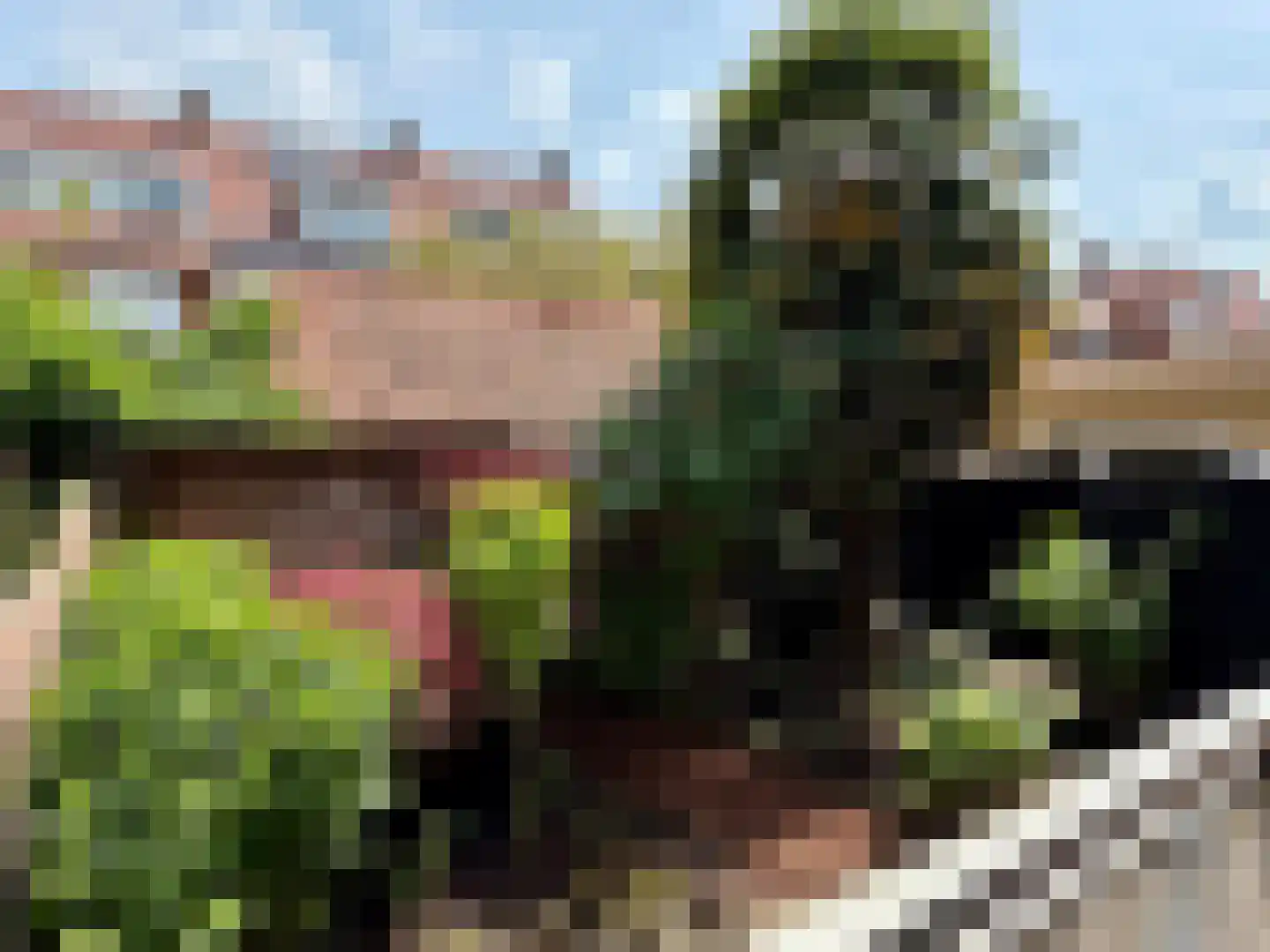 Prins Bernhardlaan 110 Voorburg thumbnail 37