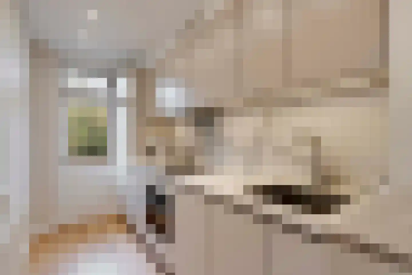 Prins Bernhardlaan 115 Voorburg thumbnail 18