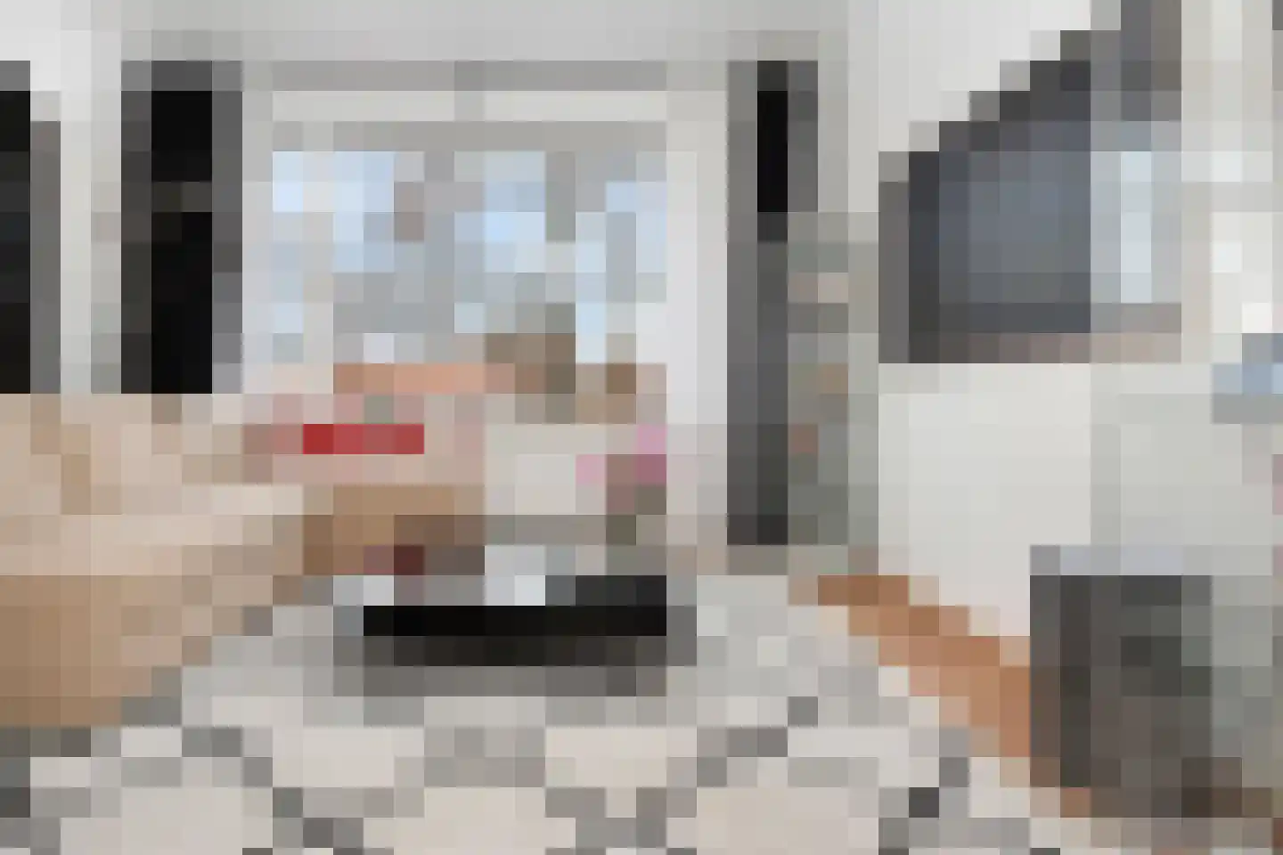 Prins Bernhardlaan 116 Voorburg thumbnail 18
