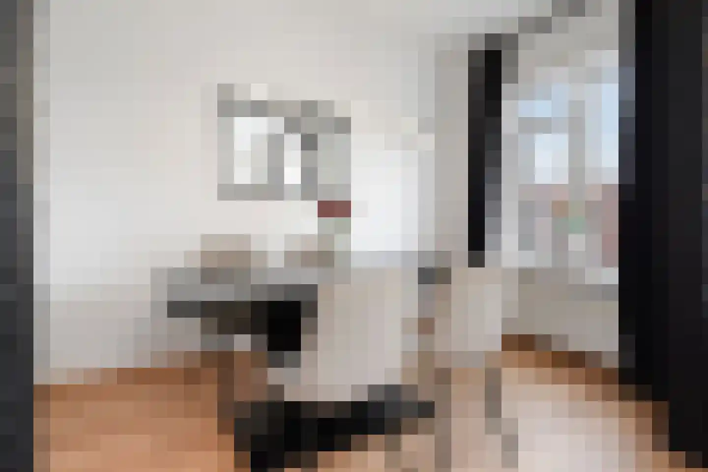 Prins Bernhardlaan 116 Voorburg thumbnail 24