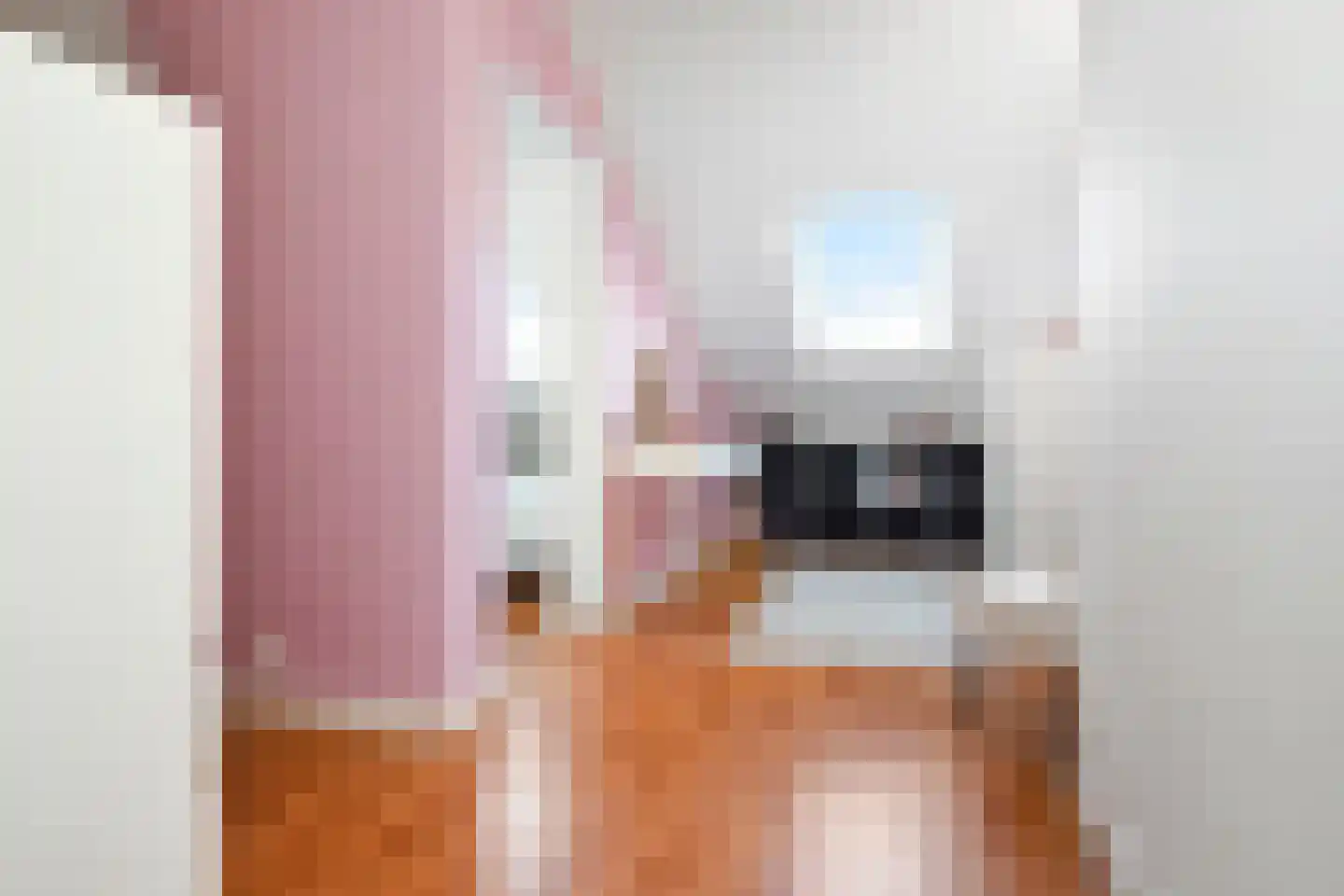 Prins Bernhardlaan 116 Voorburg thumbnail 51