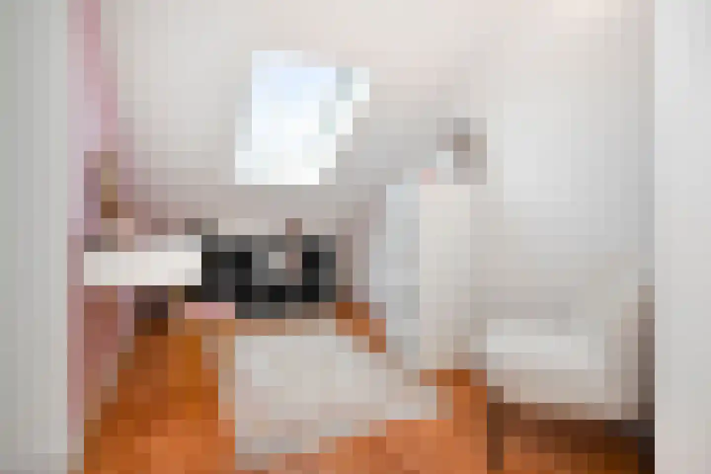 Prins Bernhardlaan 116 Voorburg thumbnail 52