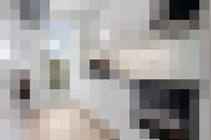Prins Bernhardlaan 117 Voorburg thumbnail 10