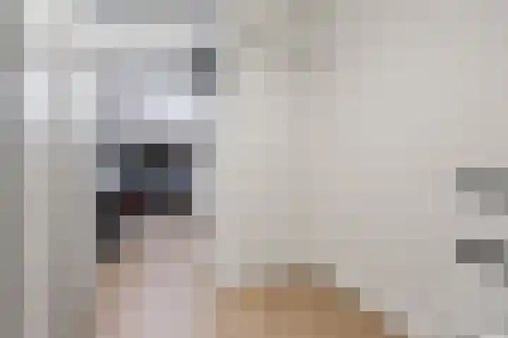 Prins Bernhardlaan 117 Voorburg thumbnail 17