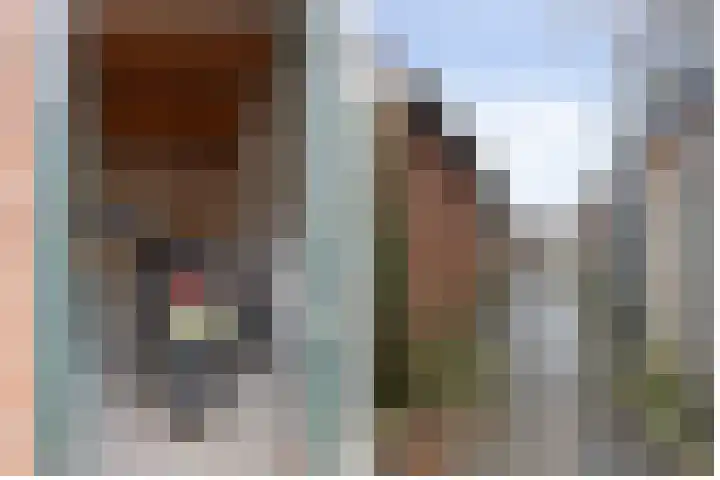 Prins Bernhardlaan 117 Voorburg thumbnail 20