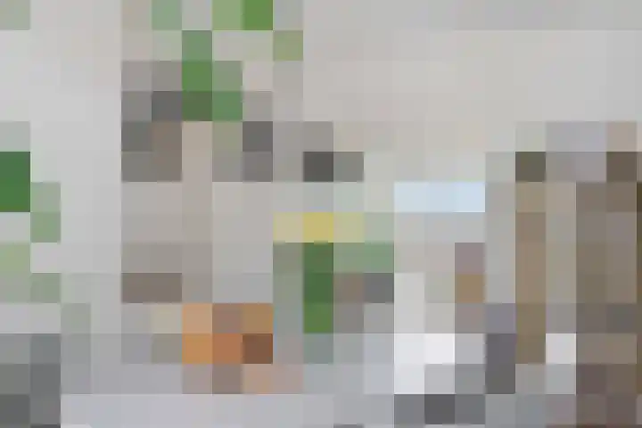 Prins Bernhardlaan 117 Voorburg thumbnail 8