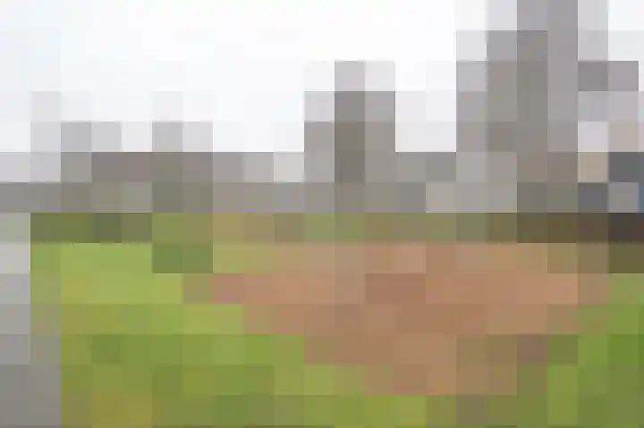Prins Bernhardlaan 118 Middelharnis thumbnail 32