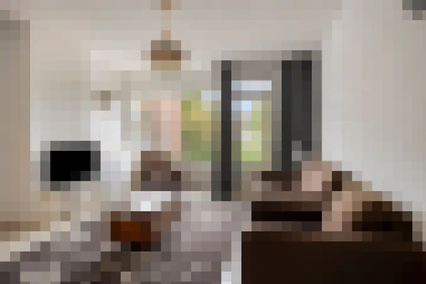 Prins Bernhardlaan 119 Leidschendam thumbnail 8