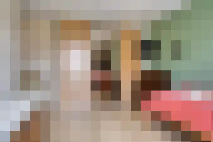 Prins Bernhardlaan 12 Spijkenisse thumbnail 13