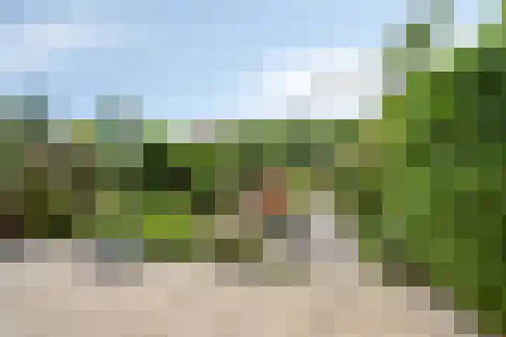 Prins Bernhardlaan 12 Spijkenisse thumbnail 19
