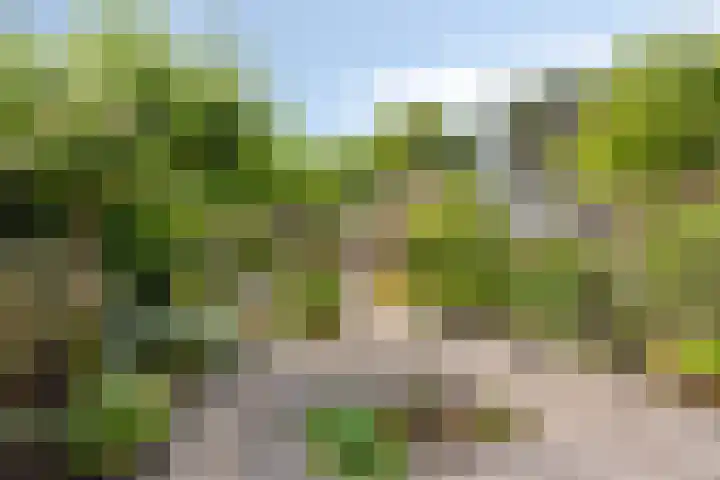 Prins Bernhardlaan 12 Spijkenisse thumbnail 21